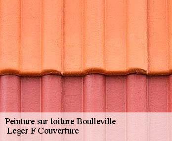 Peinture sur toiture