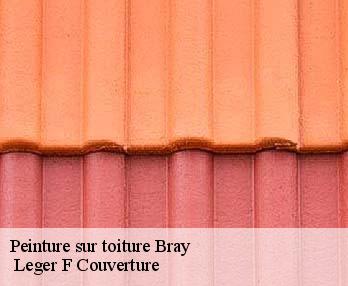 Peinture sur toiture