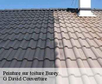 Peinture sur toiture