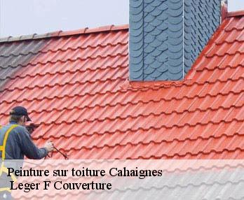 Peinture sur toiture 27420