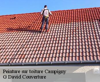 Peinture sur toiture  campigny-27500 G David Couverture
