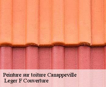 Peinture sur toiture