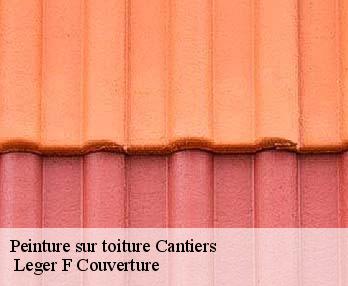 Peinture sur toiture