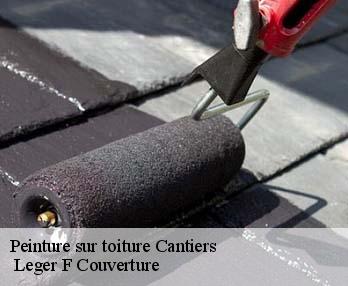 Peinture sur toiture  cantiers-27420  Leger F Couverture