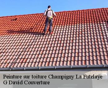 Peinture sur toiture champigny-la-futelaye-27220 G David Couverture