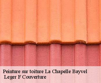 Peinture sur toiture