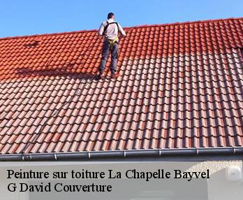 Peinture sur toiture  la-chapelle-bayvel-27260 G David Couverture