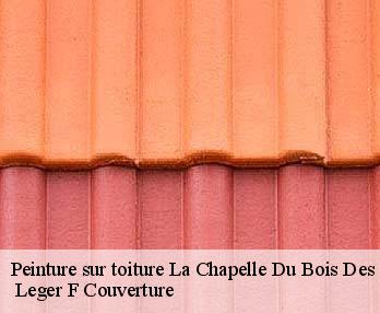 Peinture sur toiture