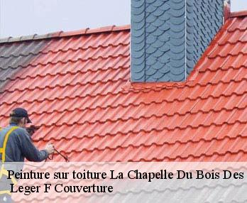 Peinture sur toiture 27930