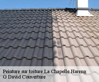Peinture sur toiture