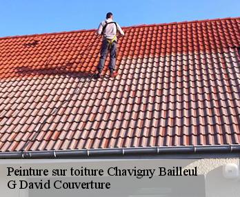 Peinture sur toiture  chavigny-bailleul-27220 G David Couverture
