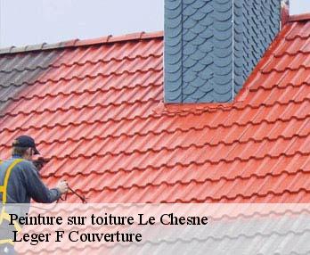 Peinture sur toiture 27160
