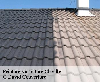 Peinture sur toiture