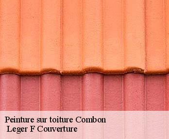Peinture sur toiture