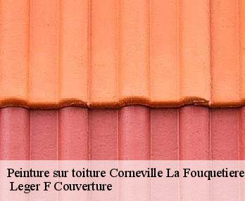 Peinture sur toiture