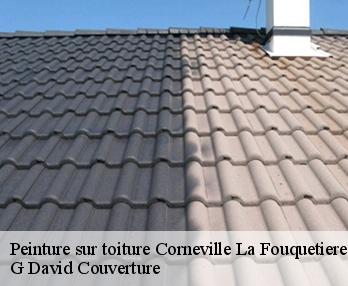 Peinture sur toiture