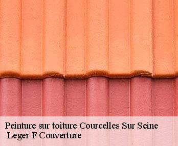 Peinture sur toiture