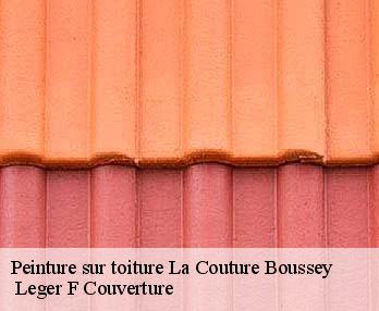Peinture sur toiture