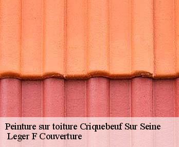 Peinture sur toiture