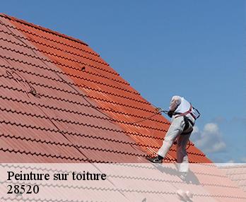 Peinture sur toiture  28520