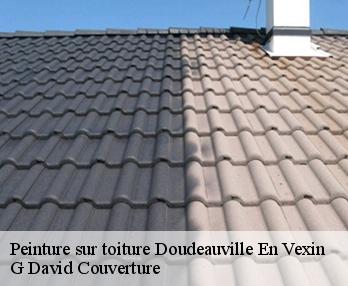 Peinture sur toiture