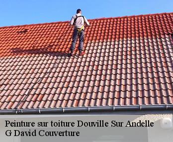 Peinture sur toiture douville-sur-andelle-27380 G David Couverture