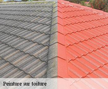 Peinture sur toiture 27380