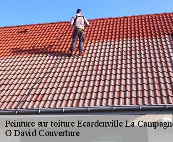 Peinture sur toiture ecardenville-la-campagne-27170 G David Couverture