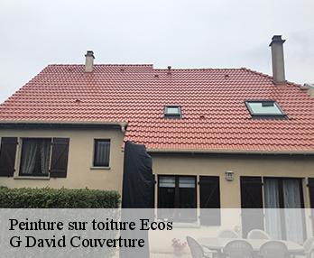 Peinture sur toiture 27630