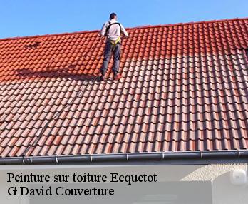 Peinture sur toiture ecquetot-27110 G David Couverture