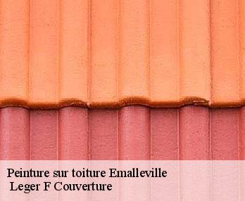 Peinture sur toiture