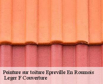Peinture sur toiture