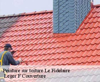 Peinture sur toiture 27190