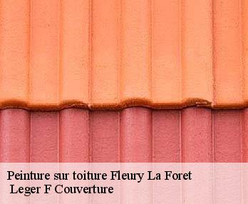 Peinture sur toiture