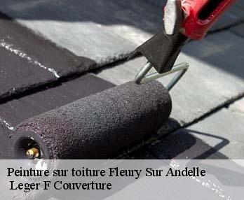 Peinture sur toiture  fleury-sur-andelle-27380  Leger F Couverture