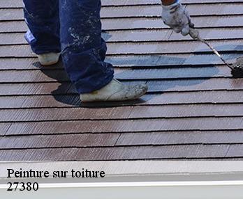 Peinture sur toiture