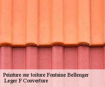 Peinture sur toiture