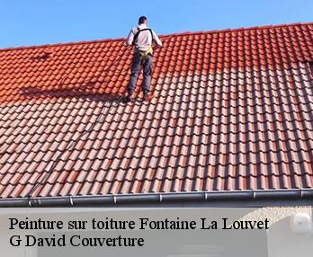 Peinture sur toiture fontaine-la-louvet-27230 G David Couverture