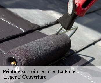 Peinture sur toiture foret-la-folie-27510 Leger F Couverture