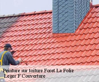 Peinture sur toiture 27510