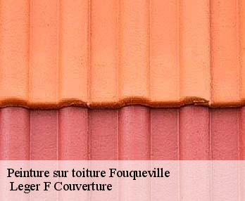Peinture sur toiture