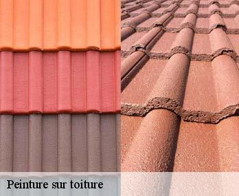 Peinture sur toiture