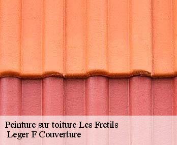 Peinture sur toiture
