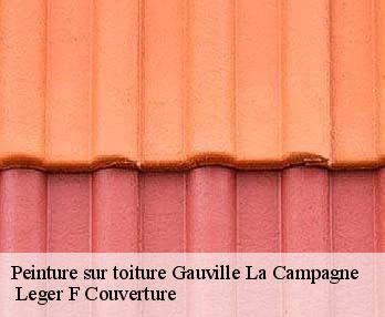 Peinture sur toiture