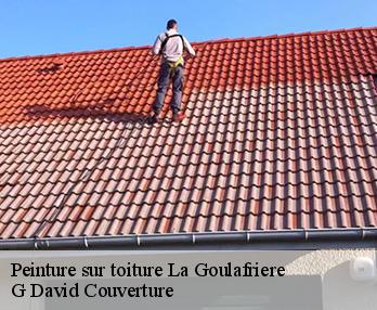 Peinture sur toiture la-goulafriere-27390 G David Couverture