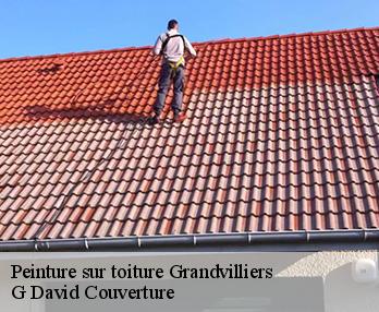 Peinture sur toiture  grandvilliers-27240 G David Couverture