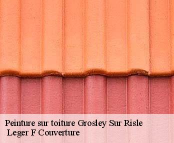 Peinture sur toiture