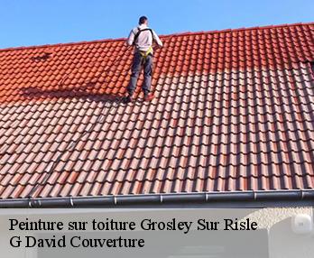 Peinture sur toiture grosley-sur-risle-27170 G David Couverture