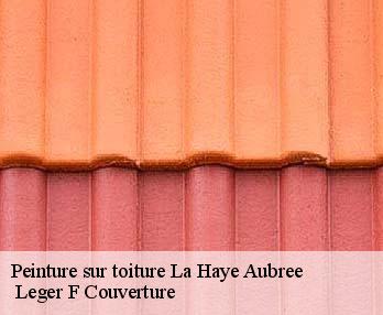 Peinture sur toiture
