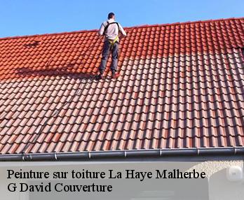 Peinture sur toiture  la-haye-malherbe-27400 G David Couverture